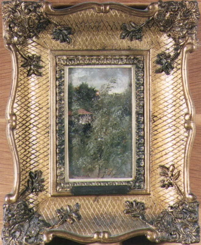  28-paesaggio con alberi  -Capodimonte-Napoli 